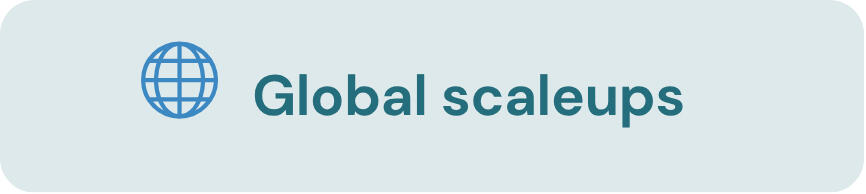 Industries i specialize in - Shivani Chetty Fractional CMO Image shows the industry i specialize in 5. Global scaleups